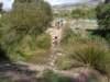 dsc00308_small.jpg