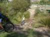 dsc00310_small.jpg