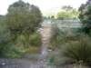 dsc00313_small.jpg