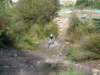 dsc00316_small.jpg