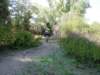 dsc00318_small.jpg
