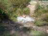 dsc00319_small.jpg