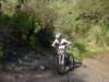 dsc00321_small.jpg