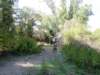 dsc00322_small.jpg