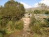 dsc00323_small.jpg