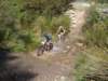 dsc00324_small.jpg
