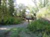 dsc00327_small.jpg