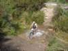 dsc00328_small.jpg