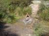 dsc00330_small.jpg