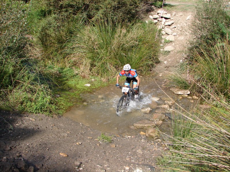dsc00334.jpg
