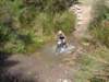 dsc00334_small.jpg