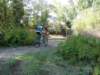 dsc00340_small.jpg
