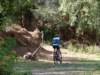 dsc00341_small.jpg