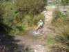 dsc00342_small.jpg