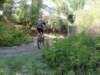 dsc00346_small.jpg
