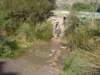 dsc00347_small.jpg