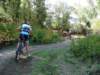 dsc00350_small.jpg