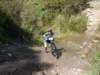 dsc00353_small.jpg