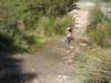 dsc00356_small.jpg