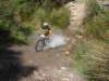 dsc00361_small.jpg