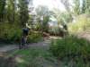 dsc00362_small.jpg
