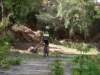 dsc00363_small.jpg