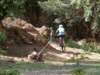 dsc00367_small.jpg
