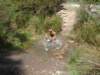 dsc00368_small.jpg