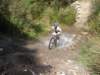 dsc00371_small.jpg