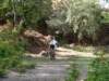 dsc00374_small.jpg