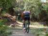 dsc00378_small.jpg