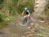 dsc00382_small.jpg