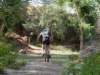 dsc00384_small.jpg