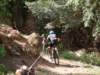 dsc00385_small.jpg