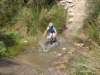dsc00386_small.jpg