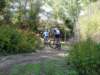 dsc00389_small.jpg
