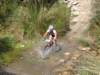dsc00402_small.jpg