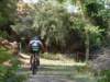 dsc00407_small.jpg