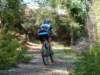dsc00409_small.jpg