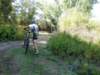dsc00412_small.jpg