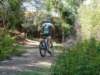 dsc00413_small.jpg