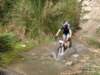 dsc00414_small.jpg