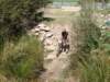 dsc00418_small.jpg