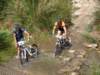 dsc00433_small.jpg