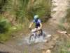 dsc00437_small.jpg