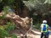 dsc00442_small.jpg