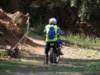 dsc00443_small.jpg