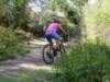 dsc00446_small.jpg