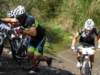 dsc00453_small.jpg