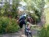 dsc00454_small.jpg